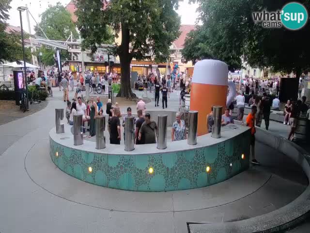 Fontana di birra Webcam – Oro verde – Žalec