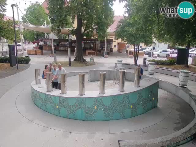 Web kamera Fontana piva – Zeleno zlato – Žalec
