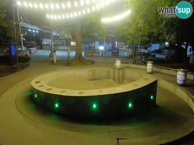 Bier-Springbrunnen Webcam Žalec – Grünen Goldes