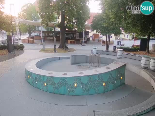 Camera en vivo Fuente de cerveza – Oro verde – Žalec