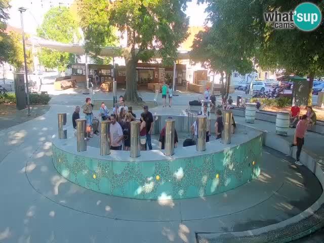 Fontaine à bière LIVE webcam – Or vert – Žalec