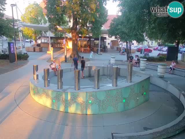 Fontaine à bière LIVE webcam – Or vert – Žalec
