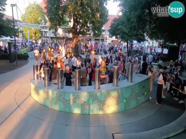 Fontana di birra Webcam – Oro verde – Žalec