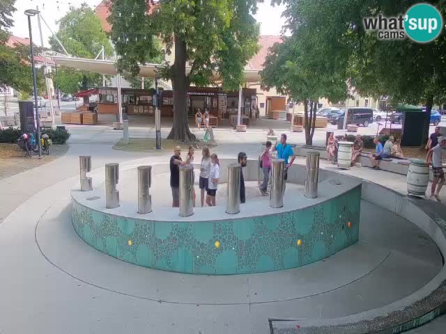 Fontana di birra Webcam – Oro verde – Žalec
