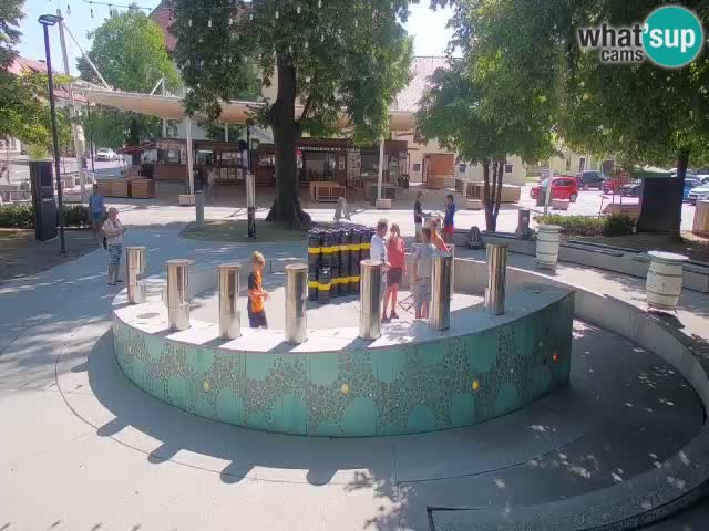 Fontana di birra Webcam – Oro verde – Žalec