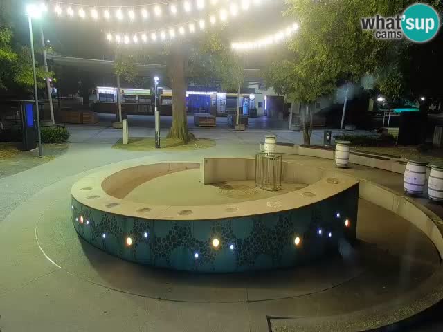 Bier-Springbrunnen Webcam Žalec – Grünen Goldes