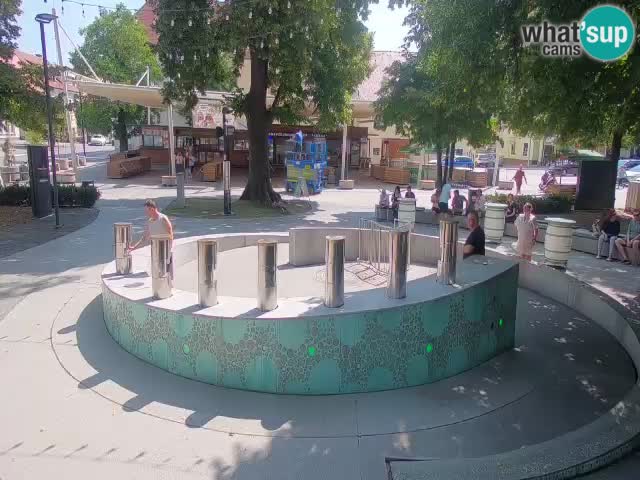 Fontana di birra Webcam – Oro verde – Žalec