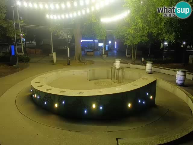 Fontana di birra Webcam – Oro verde – Žalec
