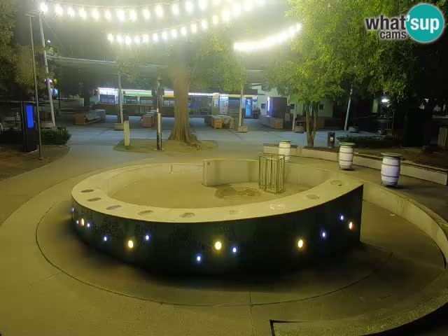 Fontana di birra Webcam – Oro verde – Žalec