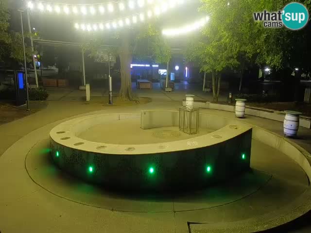 Bier-Springbrunnen Webcam Žalec – Grünen Goldes