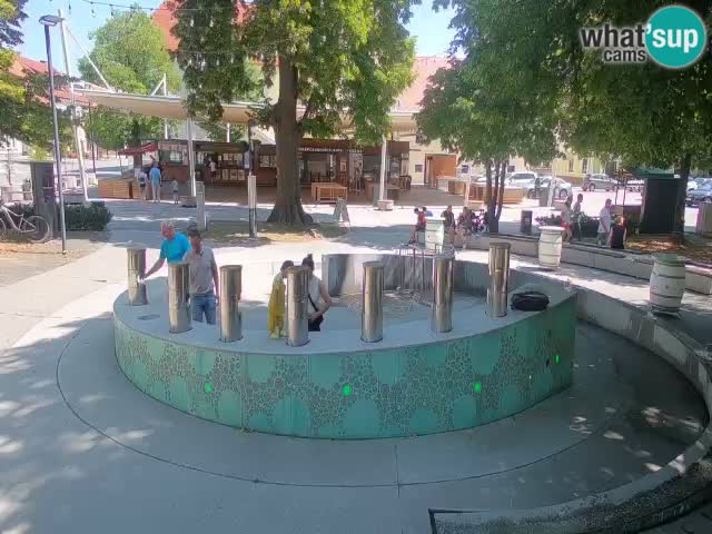 Fontaine à bière LIVE webcam – Or vert – Žalec