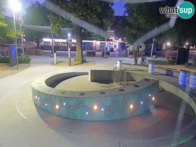 Fontaine à bière LIVE webcam – Or vert – Žalec