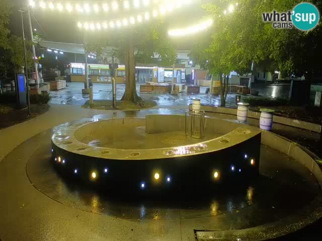 Bier-Springbrunnen Webcam Žalec – Grünen Goldes