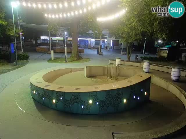 Spletna kamera Fontana Piv – Zeleno zlato Žalec