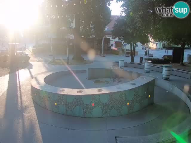 Fontaine à bière LIVE webcam – Or vert – Žalec
