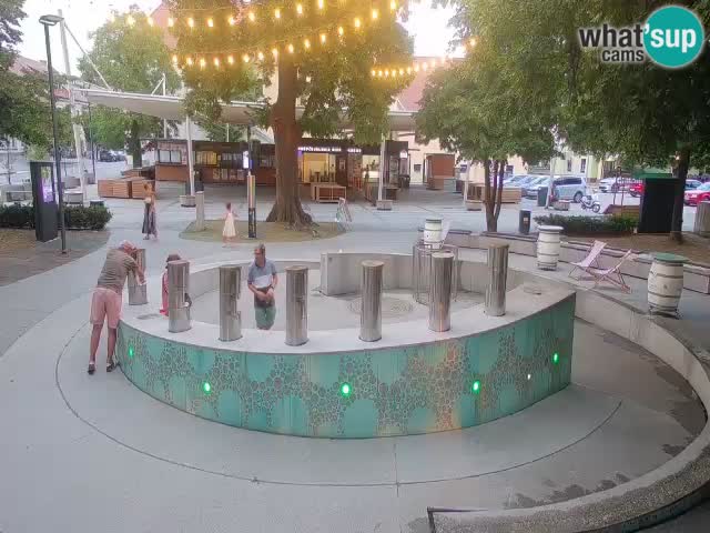 Spletna kamera Fontana Piv – Zeleno zlato Žalec
