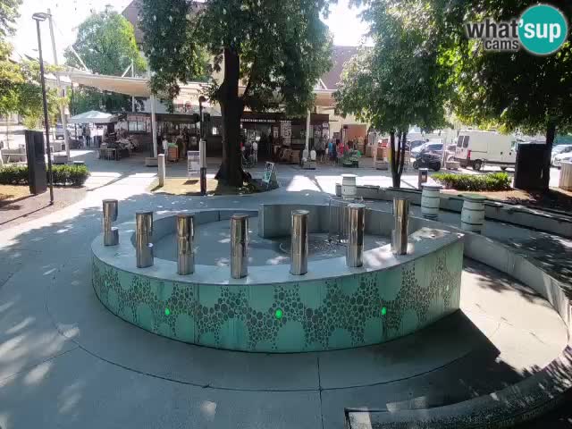 Bier-Springbrunnen Webcam Žalec – Grünen Goldes
