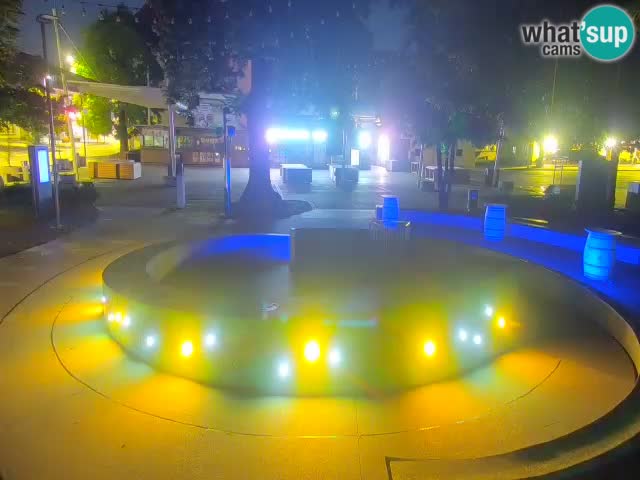 Fontana di birra Webcam – Oro verde – Žalec