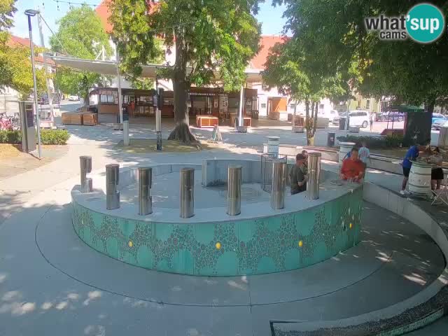 Bier-Springbrunnen Webcam Žalec – Grünen Goldes