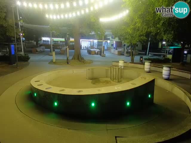 Bier-Springbrunnen Webcam Žalec – Grünen Goldes