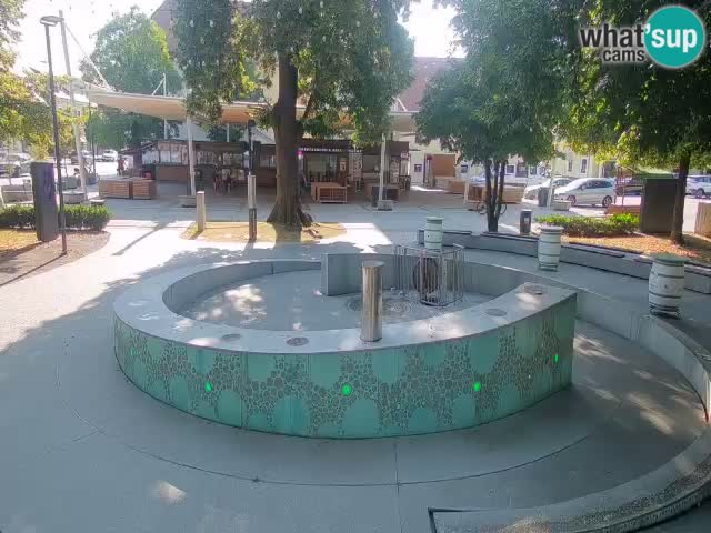 Web kamera Fontana piva – Zeleno zlato – Žalec