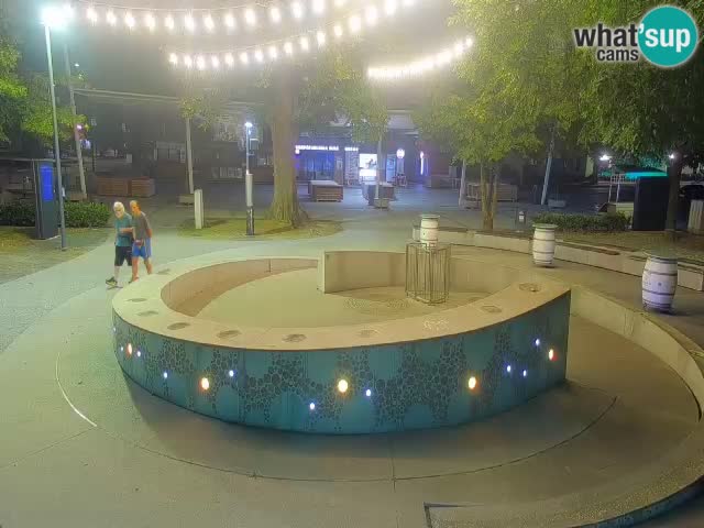 Fontana di birra Webcam – Oro verde – Žalec
