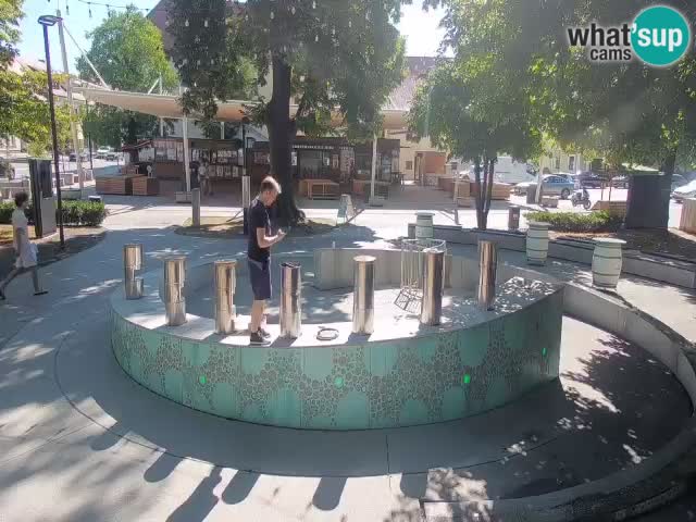 Fontana di birra Webcam – Oro verde – Žalec
