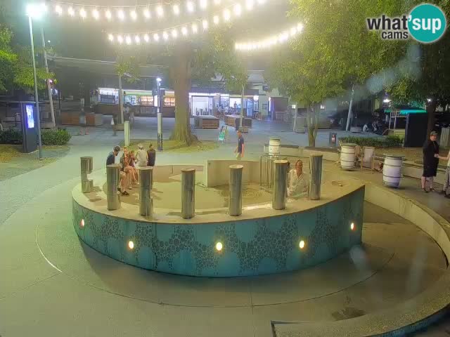 Spletna kamera Fontana Piv – Zeleno zlato Žalec