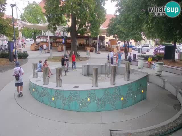 Fontana di birra Webcam – Oro verde – Žalec