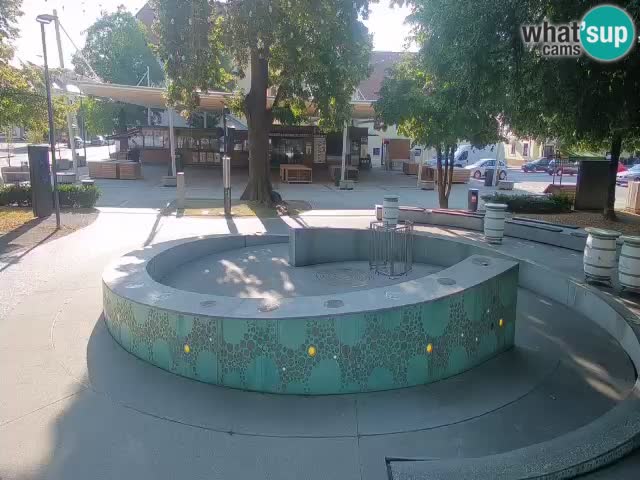 Web kamera Fontana piva – Zeleno zlato – Žalec