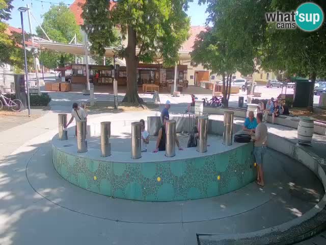 Camera en vivo Fuente de cerveza – Oro verde – Žalec