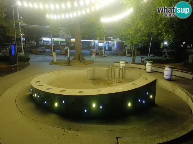 Bier-Springbrunnen Webcam Žalec – Grünen Goldes