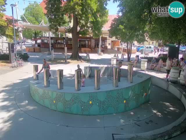 Spletna kamera Fontana Piv – Zeleno zlato Žalec