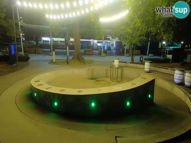 Fontana di birra Webcam – Oro verde – Žalec