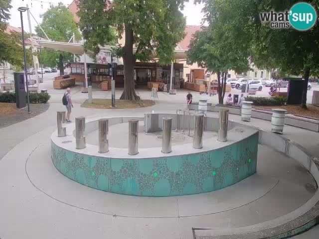 Fontana di birra Webcam – Oro verde – Žalec