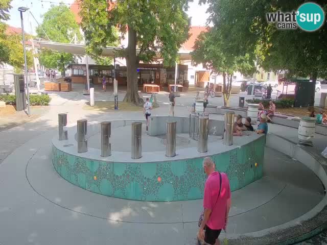 Bier-Springbrunnen Webcam Žalec – Grünen Goldes