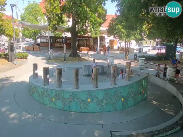 Fontaine à bière LIVE webcam – Or vert – Žalec