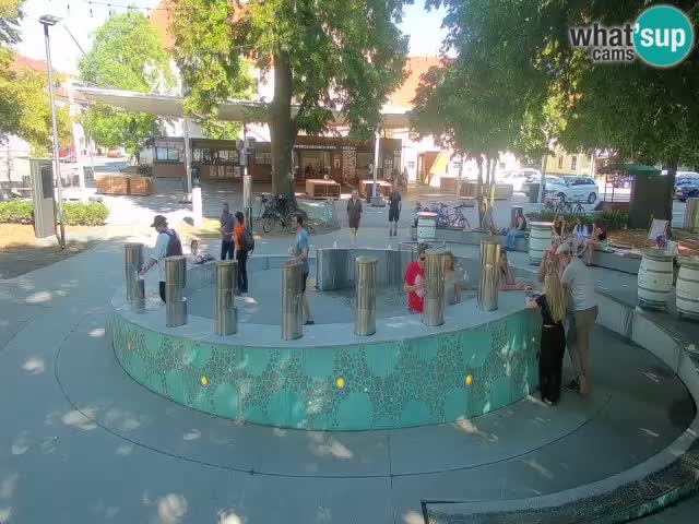 Fontaine à bière LIVE webcam – Or vert – Žalec