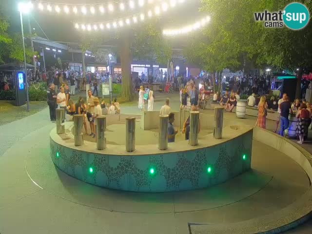 Camera en vivo Fuente de cerveza – Oro verde – Žalec