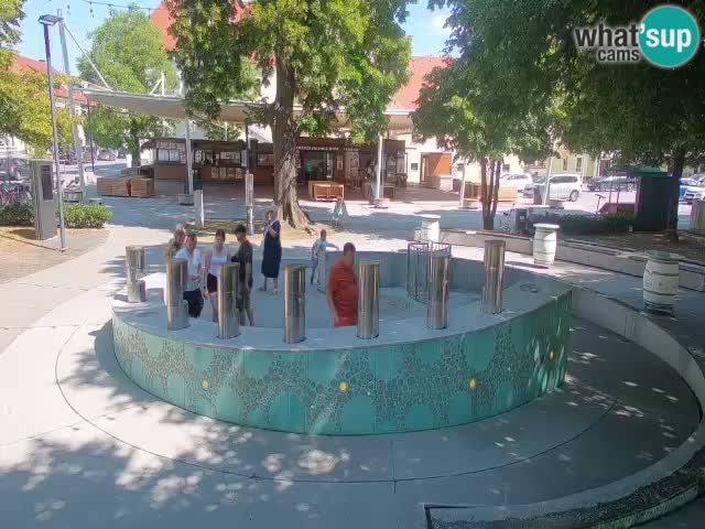 Fontana di birra Webcam – Oro verde – Žalec