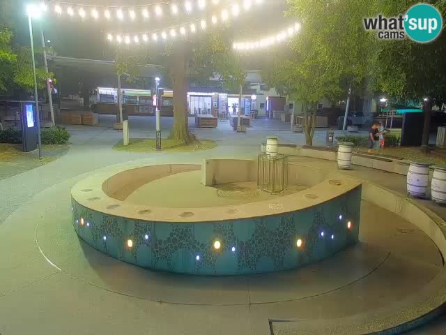 Fontaine à bière LIVE webcam – Or vert – Žalec