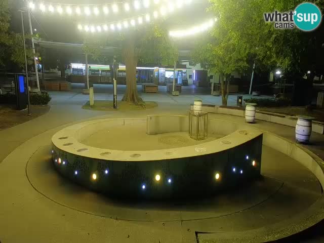 Fontaine à bière LIVE webcam – Or vert – Žalec