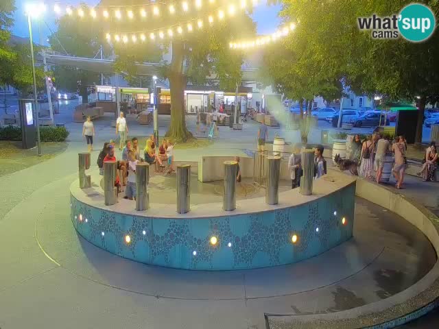 Fontana di birra Webcam – Oro verde – Žalec