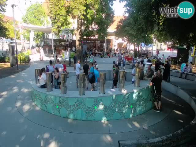 Fontaine à bière LIVE webcam – Or vert – Žalec