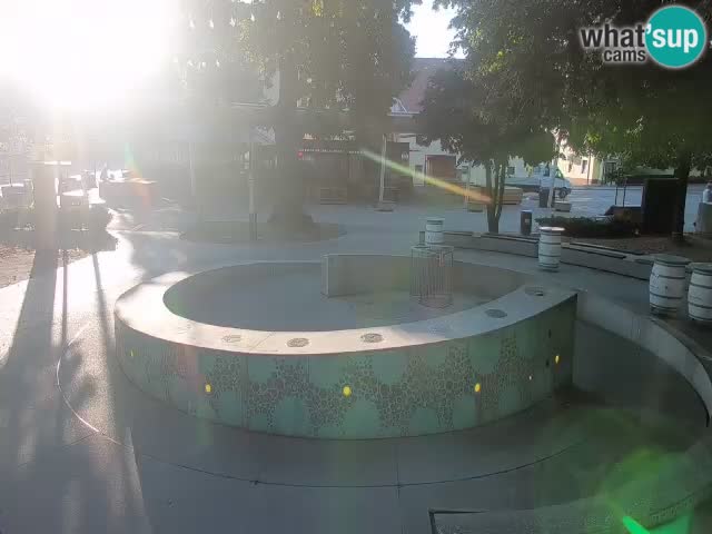 Web kamera Fontana piva – Zeleno zlato – Žalec
