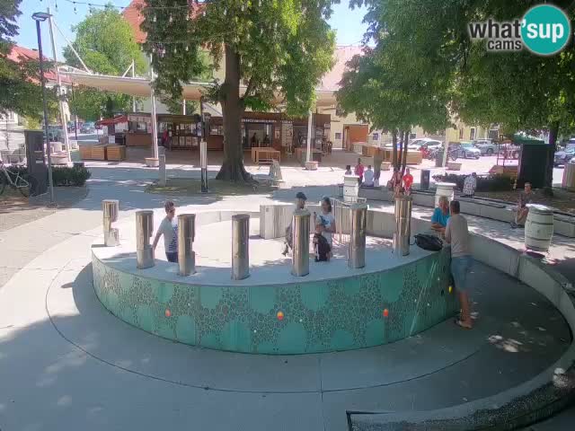 Web kamera Fontana piva – Zeleno zlato – Žalec