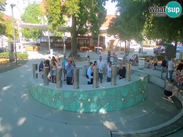 Fontaine à bière LIVE webcam – Or vert – Žalec