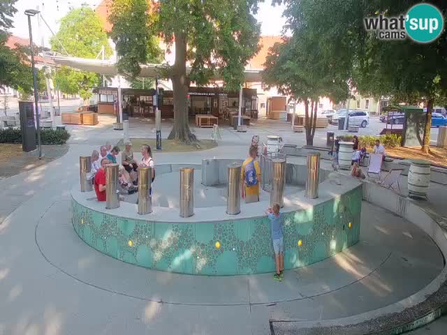 Spletna kamera Fontana Piv – Zeleno zlato Žalec