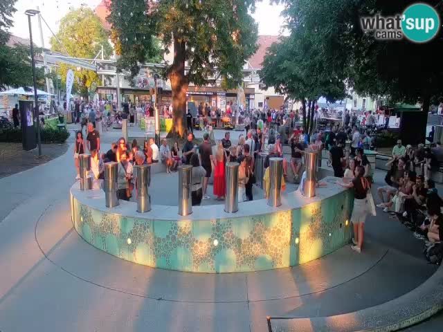 Fontana di birra Webcam – Oro verde – Žalec