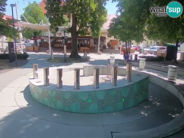 Camera en vivo Fuente de cerveza – Oro verde – Žalec